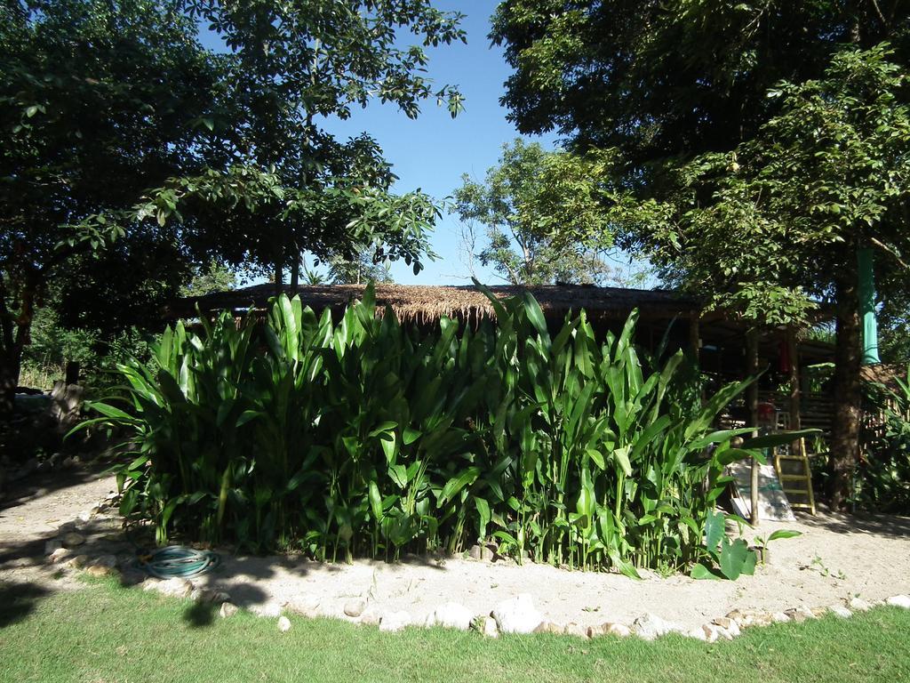 Pai Bamboo Hut Hotel Exterior photo