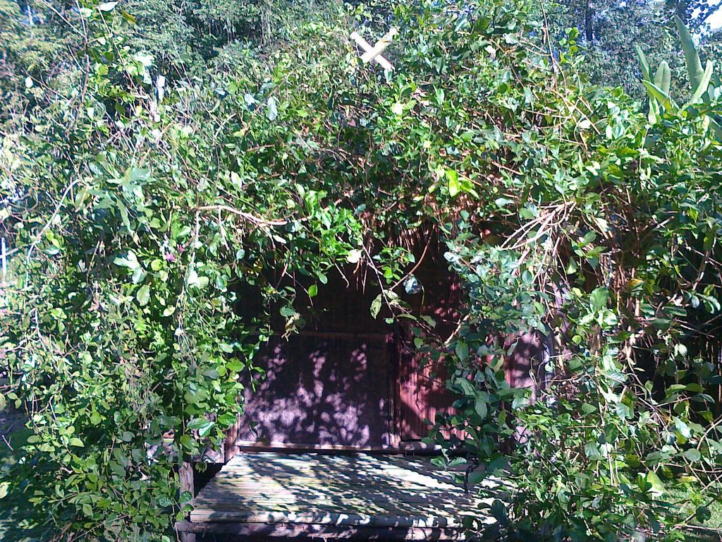 Pai Bamboo Hut Hotel Room photo