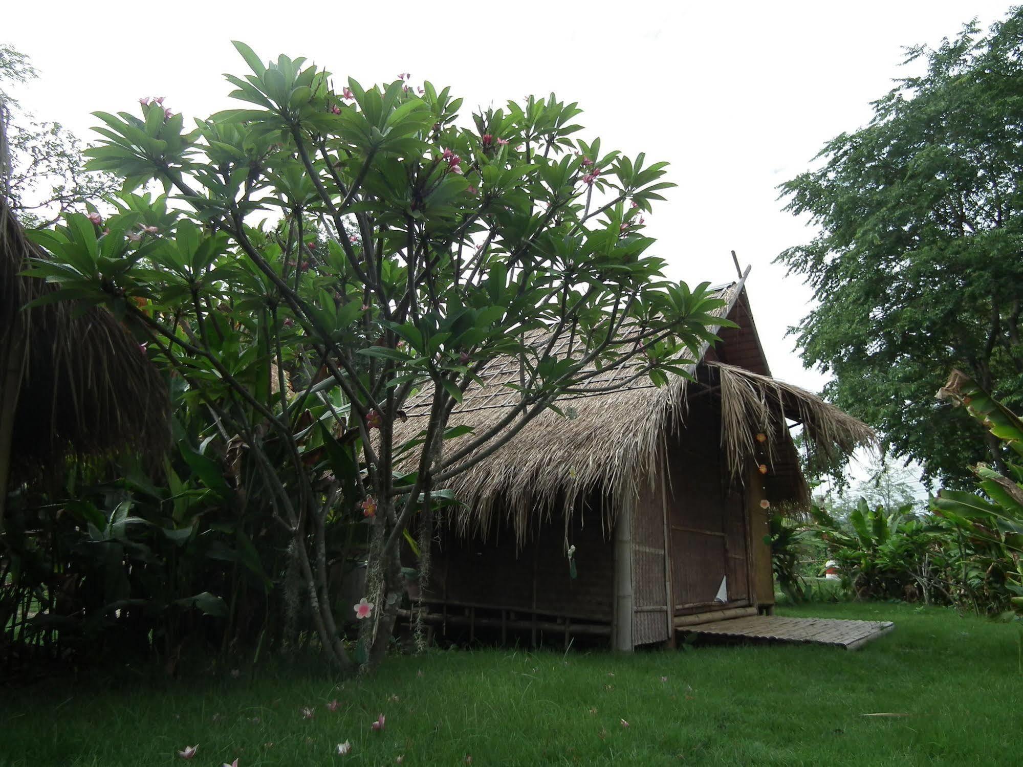 Pai Bamboo Hut Hotel Exterior photo