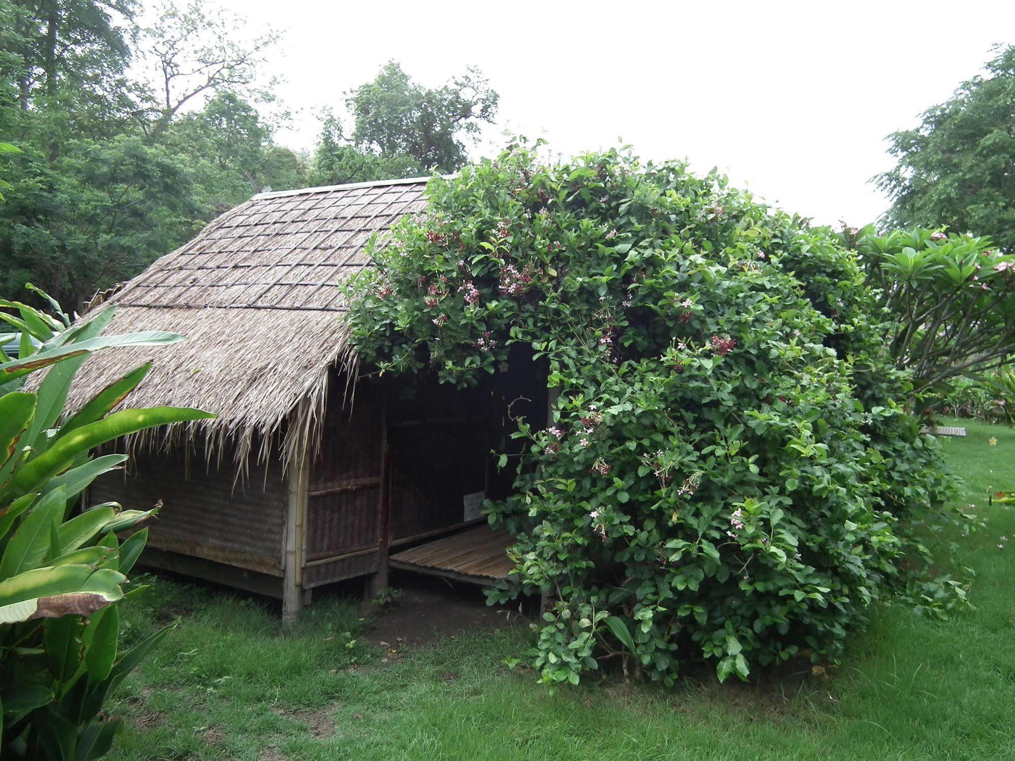 Pai Bamboo Hut Hotel Exterior photo